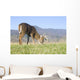 Whitetail buck grazing Wall Mural