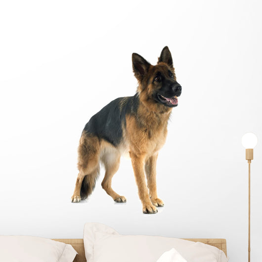 German Shepherd Wall Decal
