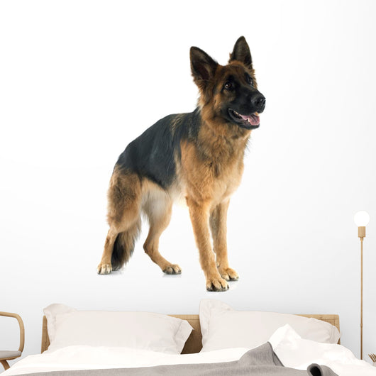 German Shepherd Wall Decal