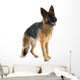 German Shepherd Wall Decal