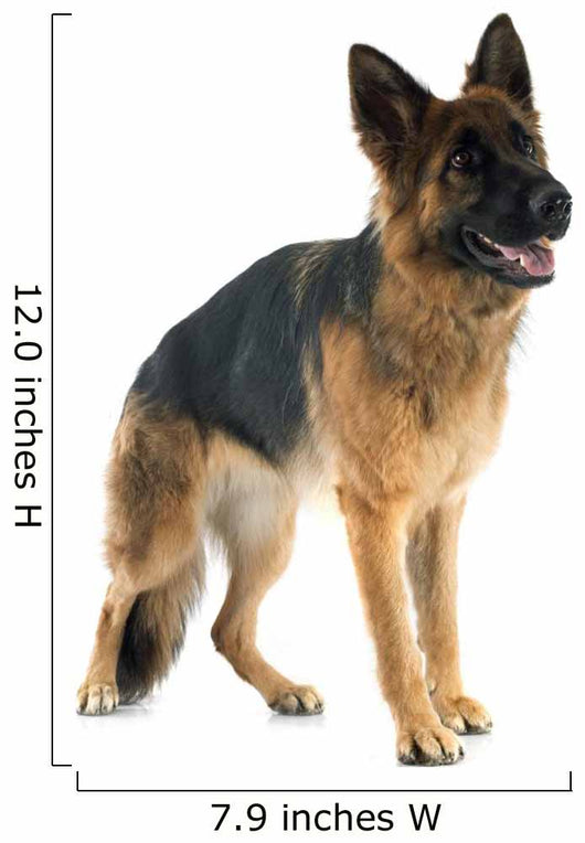 German Shepherd Wall Decal