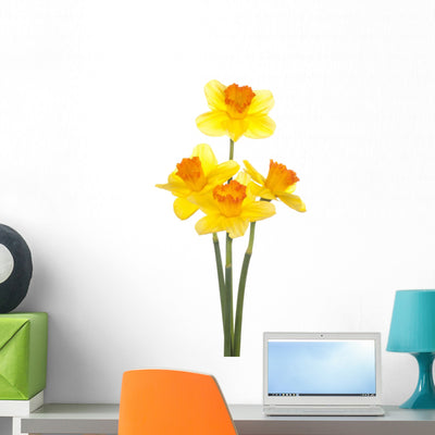 Daffodil Wall Decal shown on a wall