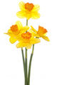 daffodil Wall Decal