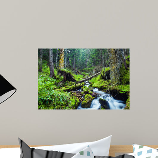 Forest River