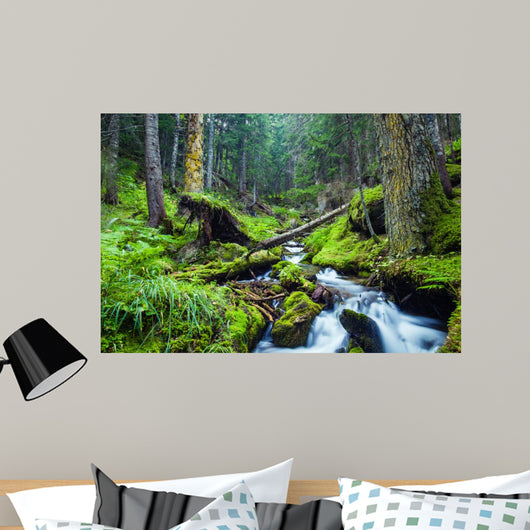 Forest River