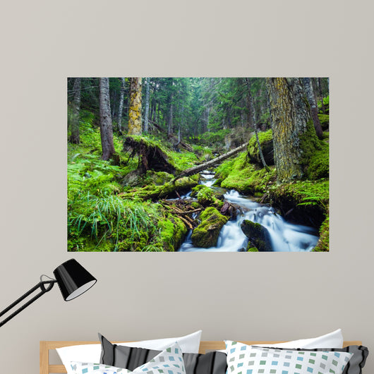 Forest River