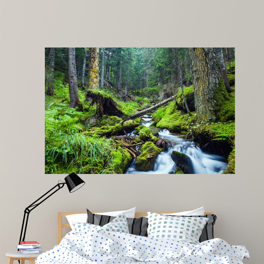 Forest River