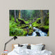 Forest River