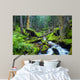Forest River