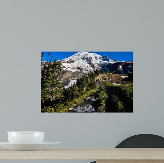 Paradise Trail Mount Rainier