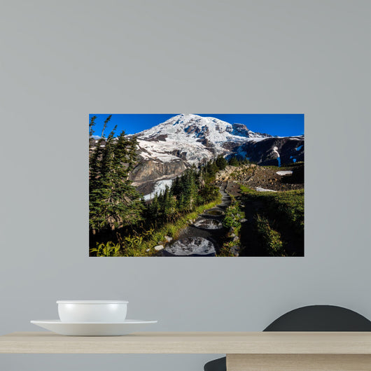 Paradise Trail Mount Rainier
