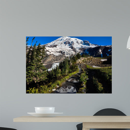 Paradise Trail Mount Rainier