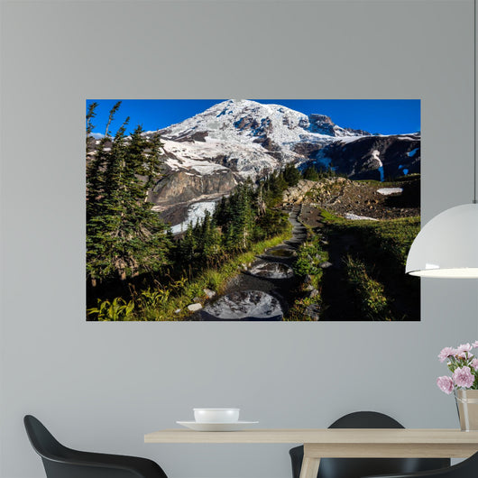 Paradise Trail Mount Rainier