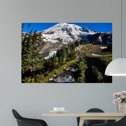 Paradise Trail Mount Rainier