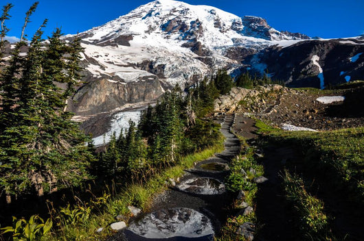 Paradise Trail Mount Rainier