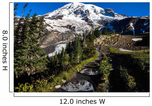 Paradise Trail Mount Rainier
