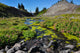 Paradise Trail Mount Rainier