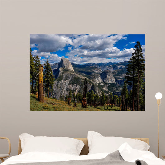 Gorgeous Yosemite National Park
