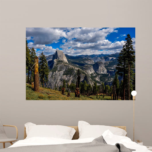 Gorgeous Yosemite National Park
