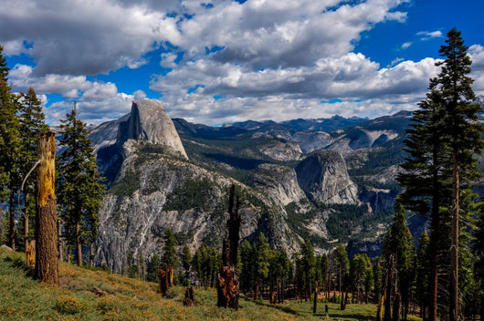 Gorgeous Yosemite National Park