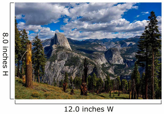 Gorgeous Yosemite National Park