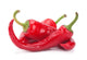 Red chilli pepper Wall Decal