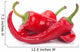 Red chilli pepper Wall Decal