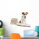 Cute Happy Dog Back