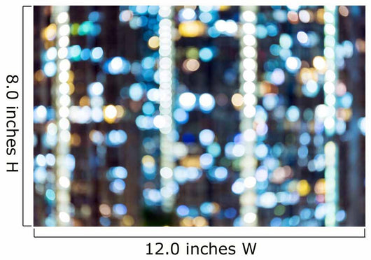Out Focus City Compact