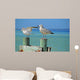 Seagulls Pier