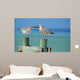 Seagulls Pier