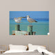 Seagulls Pier