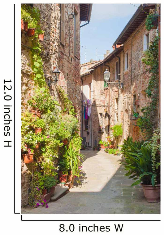 Beautiful Hilltop Town Tuscany