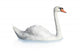 Bird swan Wall Decal