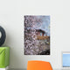 Peach Blossom