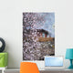 Peach Blossom
