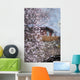 Peach Blossom