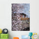 Peach Blossom