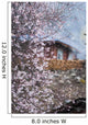 Peach Blossom