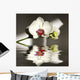 Orchid Wall Mural
