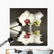 Orchid Wall Mural