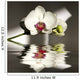 Orchid Wall Mural