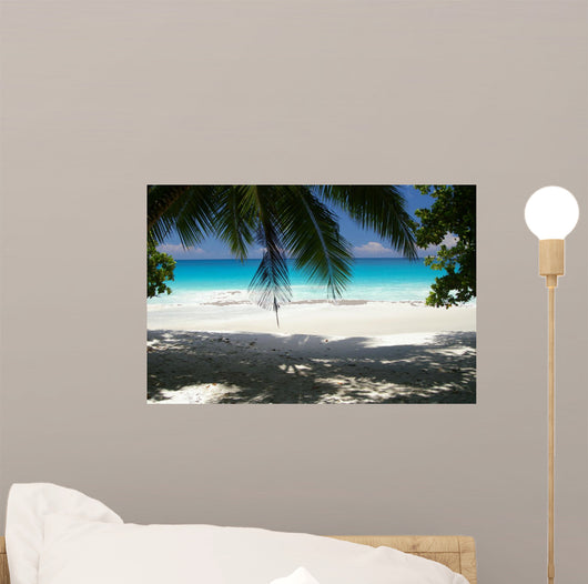 Spiaggia Nelle Seychelles