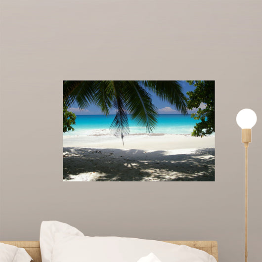 Spiaggia Nelle Seychelles