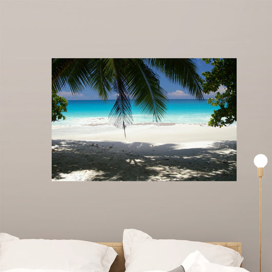 Spiaggia Nelle Seychelles
