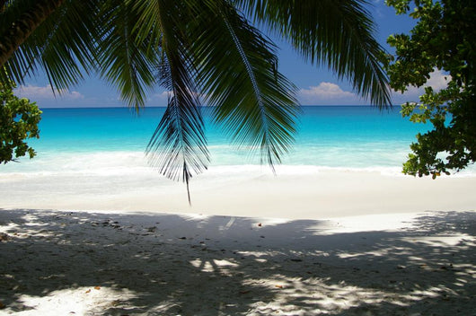 Spiaggia Nelle Seychelles