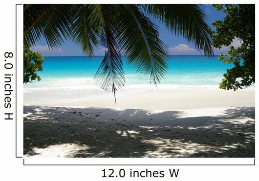 Spiaggia Nelle Seychelles
