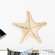 Starfish White