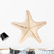 Starfish White