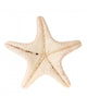 Starfish White